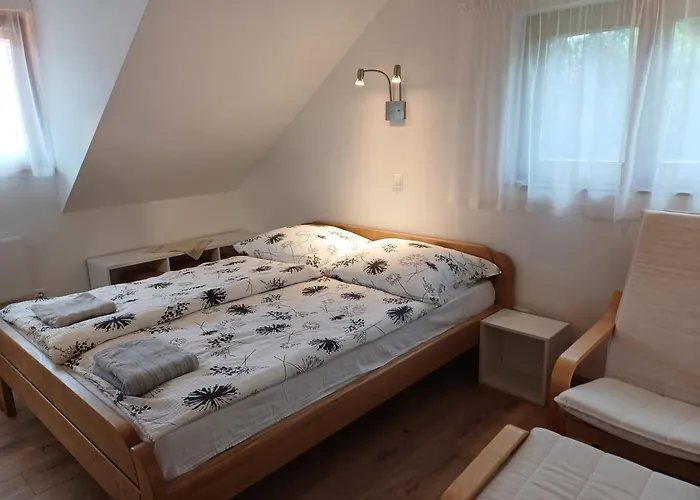 Hébergement de vacances Buzavirag Haz *